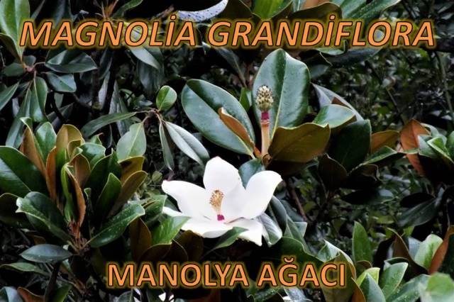 uploads/20102022145533/5.JPG
