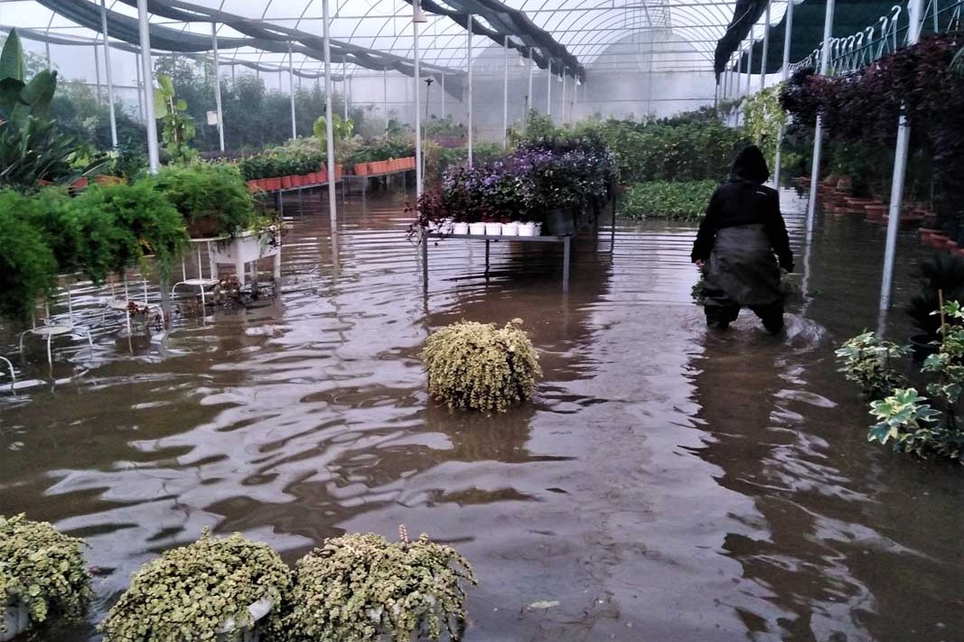 PM Satış Serası Sel