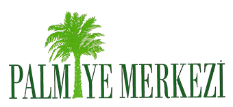 Palmiye merkezi